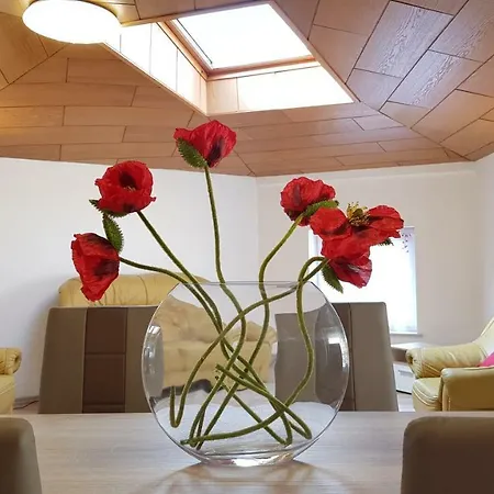 Apartment Elena Flat Mohn Zentrum *